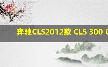 奔驰CLS2012款 CLS 300 CGI